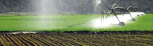Agrochemicals